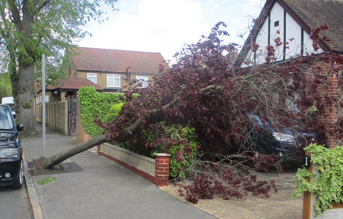 It's a bit windy down my road today...