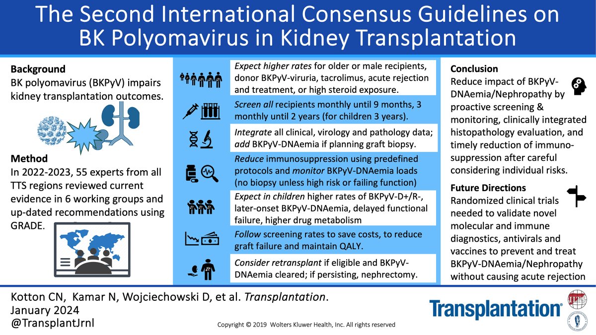 #OpenAccess paper by @KottonNelson et al reporting the second international consensus #guidelines on the management of BK polyomavirus in kidney #transplantation. #Kidneytransplantation #MedTwitter #TransplantTwitter tinyurl.com/49zdvzx6