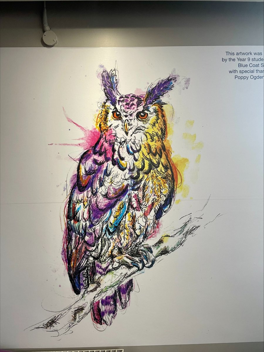 Celebrating #WorldArtsDay! Last year, The Royal Oldham Hospital collaborated with @BCOldham6thForm Art department, commissioning two vibrant murals for their staff canteen. Year 13's Poppy created a stunning Owl mural, receiving heartfelt thanks and an onerary plaque 🎨🖌️