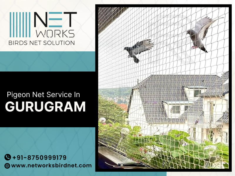 networksbirdnet's tweet image. Are you looking Pigeon net service in Gurugram ? 
Look no further than Networks Bird Net for effective pigeon net solutions!

Contact  at +91 87509 99179  today for expert pigeon netting solutions!

#pigeonnet #Gurugram #NetworksBirdNet #birdcontrol