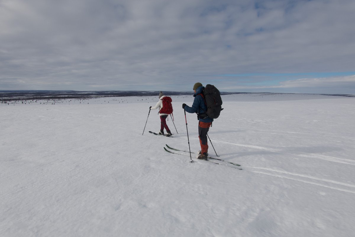 MiguelVillosPe's tweet photo. Just returned from our #microclimate research site in Finnish Lapland. Physically demanding, but look at those views over the #treeline! 3 happy faces by the end of the day.
The one and only Philip Burgess made the trip even more enjoyable.
@CharterArctic https://t.co/EgEReYR7nG