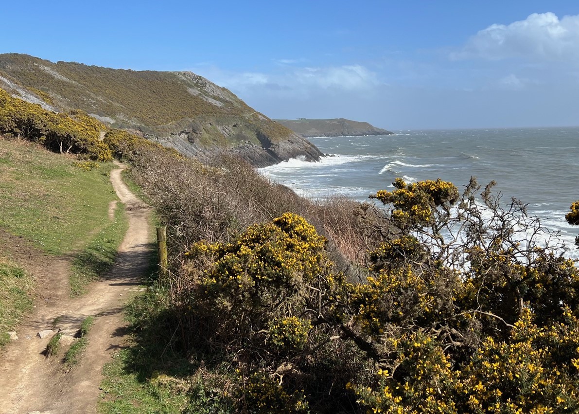 Simon Griffiths: Publisher, Author, Swimmer tweet media