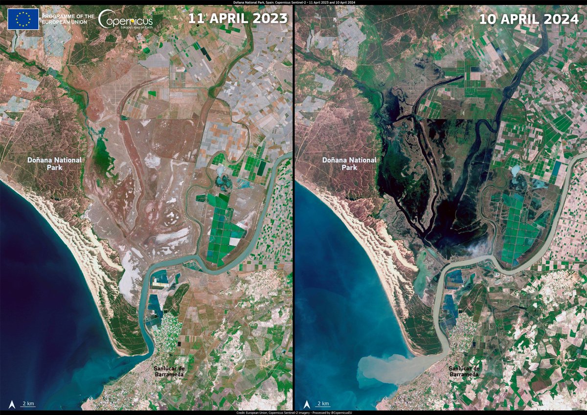 Las lluvias han hecho que las marismas de Doñana hayan cambiado drásticamente respecto a como estaban hace sólo un año.

Aquí tenéis la comparación con imágenes del satélite Sentinel2.

Es sencillamente impresionante.

Vía @CopernicusEU