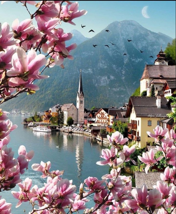 Hallstatt, Austria 🇦🇹