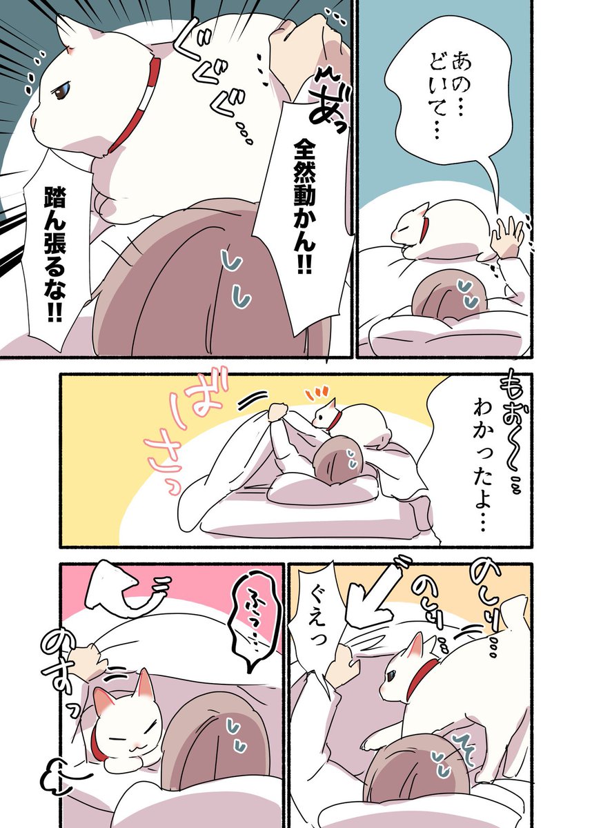 自分の思い通りにならないと気が済まない猫の話(2/3)
 #漫画が読めるハッシュタグ
 #愛されたがりの白猫ミコさん 