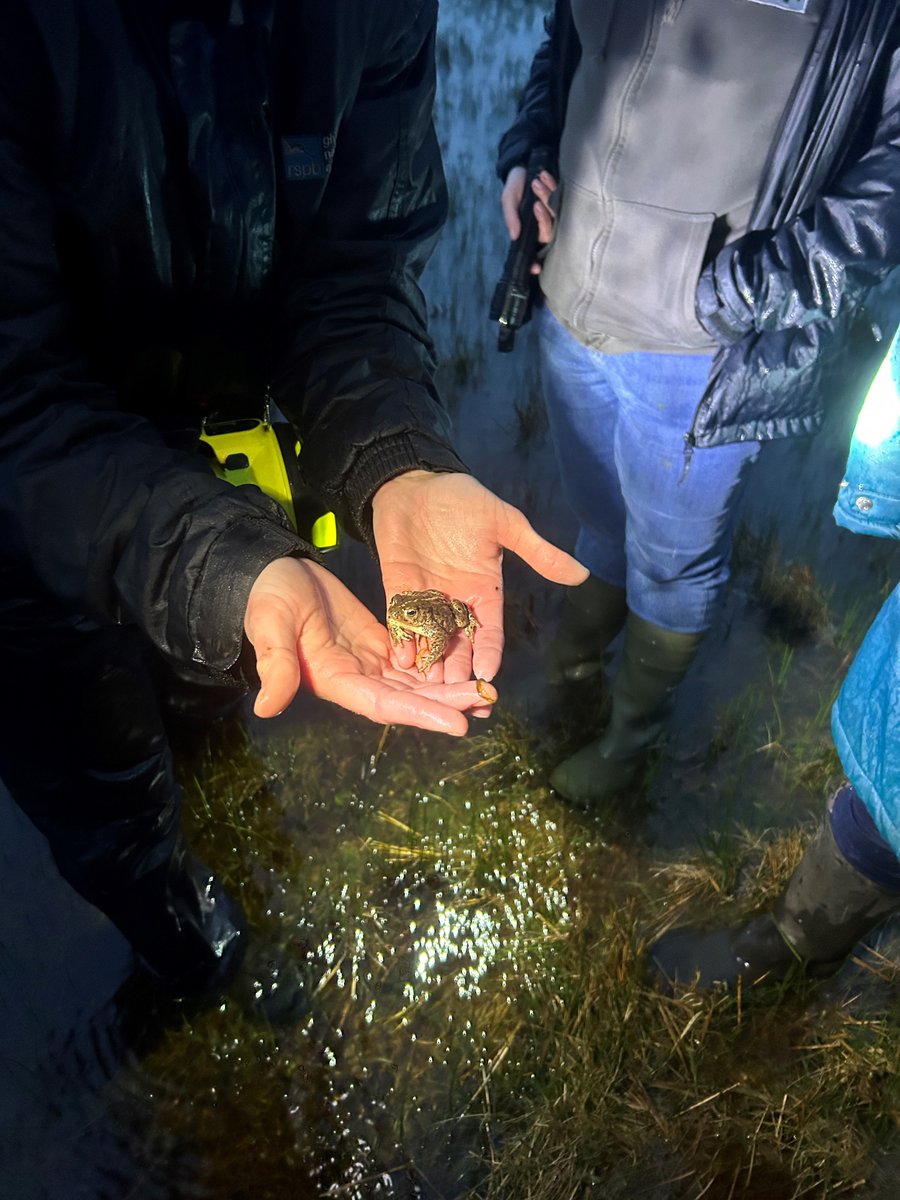 Huge thanks to Nature Champion @EmmaHarperMSP for braving the elements to visit RSPB Mersehead with the SotE Solway team last week in search of the iconic natterjack toad. We're glad the toads were in full chorus for you! 🐸 Thanks to @RSPBDandG for hosting us 💚