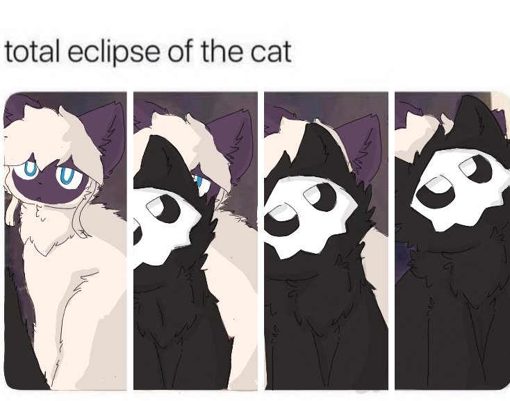 cat eclipse 🖤🌕🌓🌒🌑😺
#changed #furrycommunity