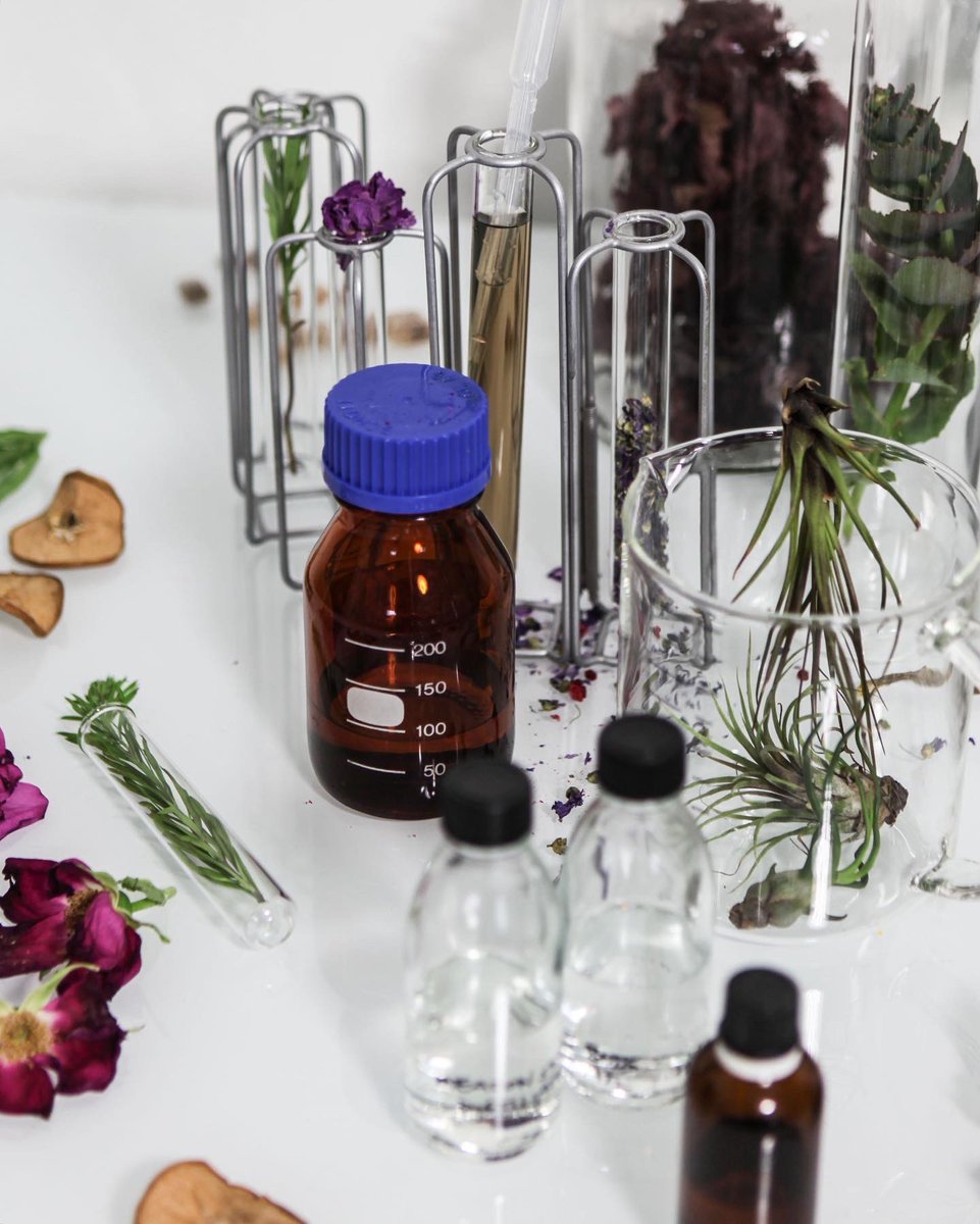 SATORI & SCOUT tweet media