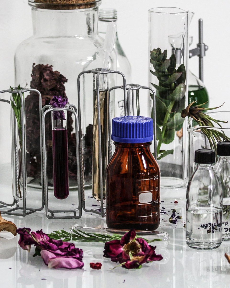 SATORI & SCOUT tweet media