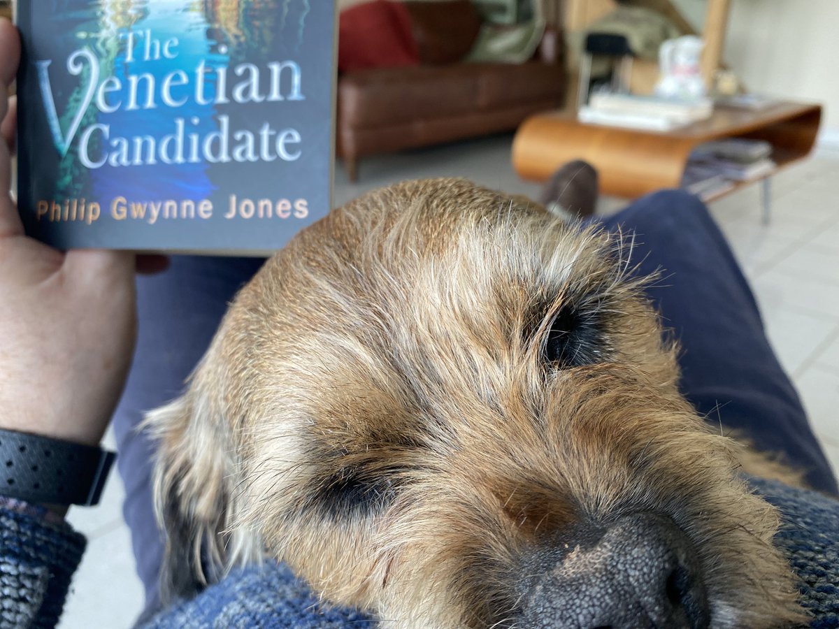 Eddie and I have been enjoying #TheVenetianCandidate by @PGJonesVenice - nearly as much canal-side alcohol being supped as in #johnsonandwilde! Now then, who’s for a gin martini? 🍸🍸 😉
