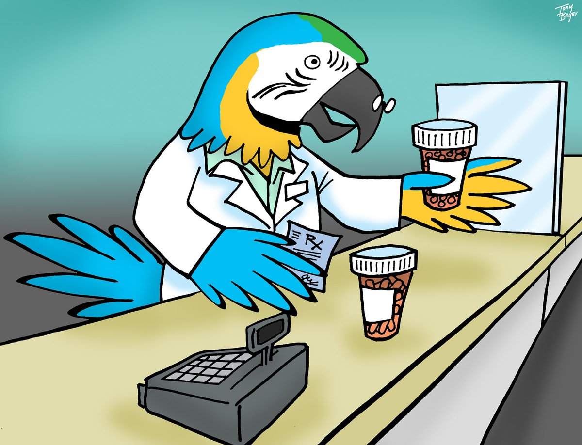 'Medicine' dispensed by a Macaw @AnimalAlphabets
#illustration #cartoon #art #drawing #illustration #AnimalAlphabets #ArtistOnX