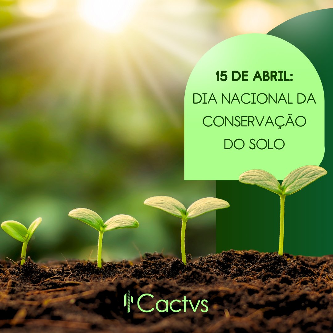 CactvsSa's tweet photo. O solo é um recurso vital, é a base da vida na Terra, sustentando a agricultura e até mesmo o clima. Sem solo saudável, não há comida, água ou biodiversidade. Faça a sua parte para protegê-lo! https://t.co/IEohDcdIcY