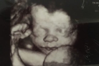 Lizzie Marbach tweet media