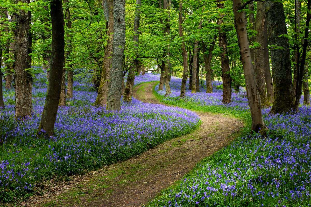 zixtygo's tweet image. Spring has Spring, finally! There are still three days left to celebrate #discovernationalparksfortnight ow.ly/HpOv50Rg8gF ⛰️🦌 When there's no public transport, consider Zixty. Policies from 1 hour - 28 days.  #ethicalcarinsurance  #temporarycarinsurance 
@uknationalparks