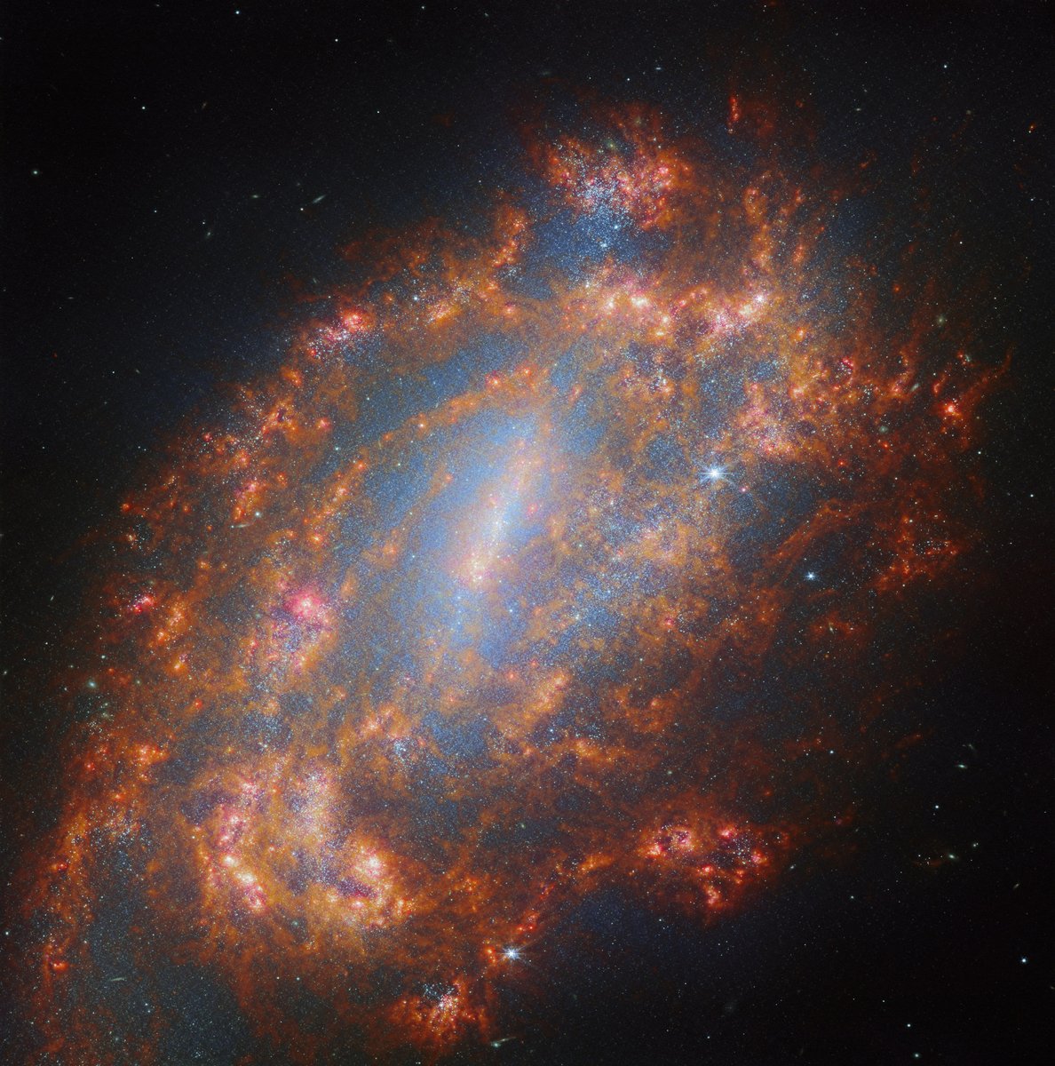 n the constellation Reiculum lies the barred spiral galaxy NGC 1559. More than 35 million light-years away, NGC 1559 is not part of a galaxy cluster and is far from any other galaxies, making it a true loner. 📸 ESA/Webb, NASA & CSA, A. Leroy, J. Lee and the PHANGS Team