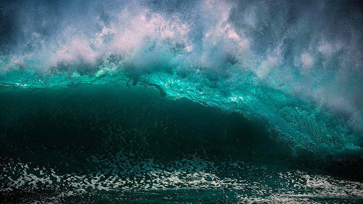 This year's PlyMSEF Spring Lecture will take place at the @NMAPlymouth 🌊🦀🐟 The event is your chance to learn from three of Plymouth's leading marine research organisations about marine heatwaves. Book your ticket here 👇plymouth.ac.uk/whats-on/plyms…