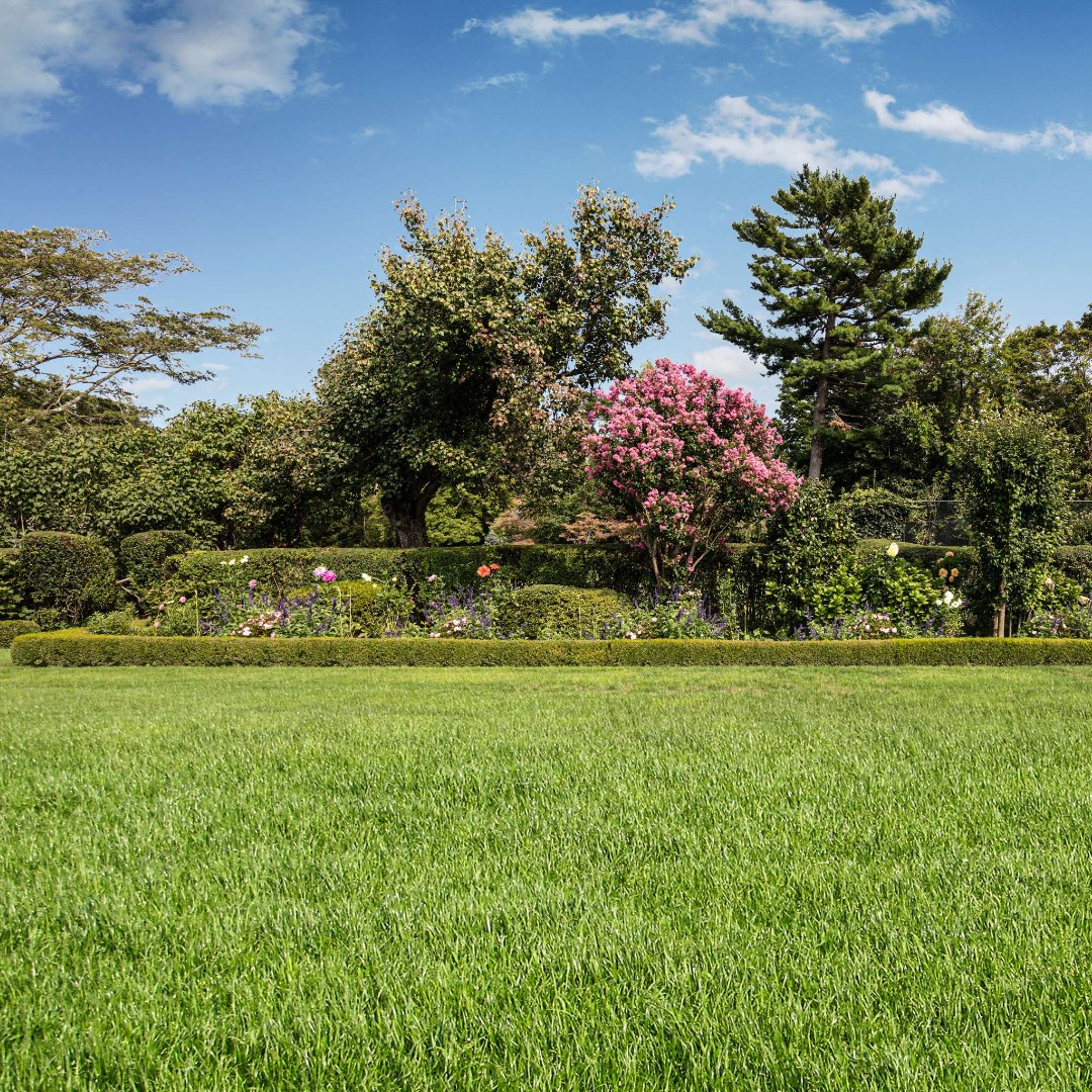 Formal Garden in full bloom🌷🌻

#ReginaRogersTeam #LuxuryElliman #LongIslandHomesAndEstates #Bloom #FullBloom #SpringIsHere