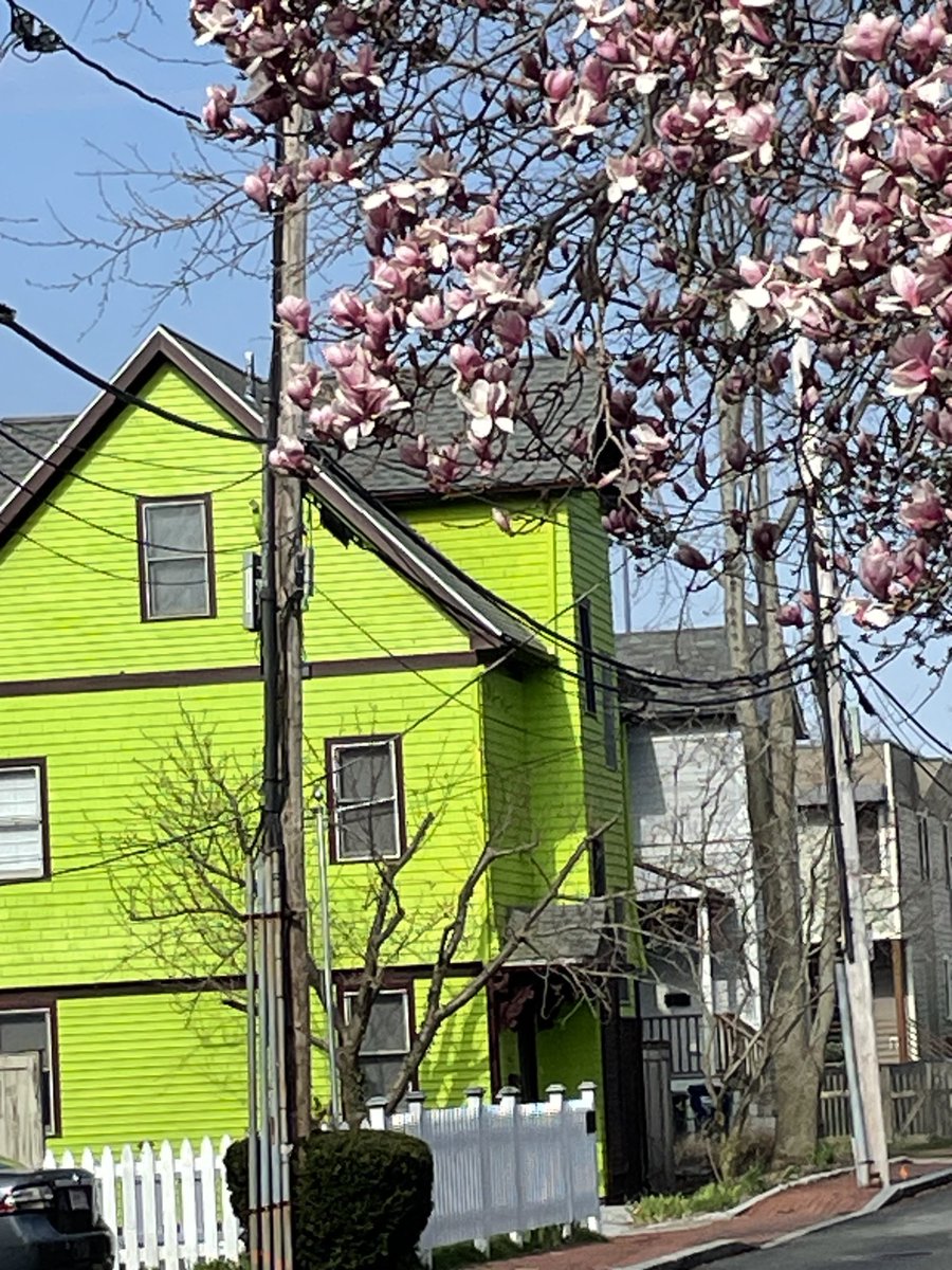 God bless these neighbors who saw all the paint colors and chose this one