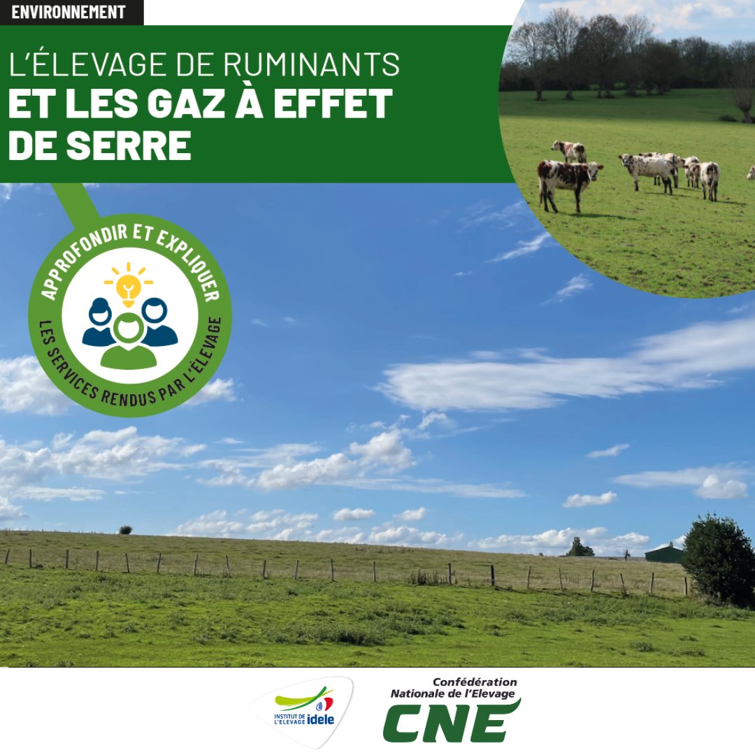 Institut de l'élevage - Idele tweet media