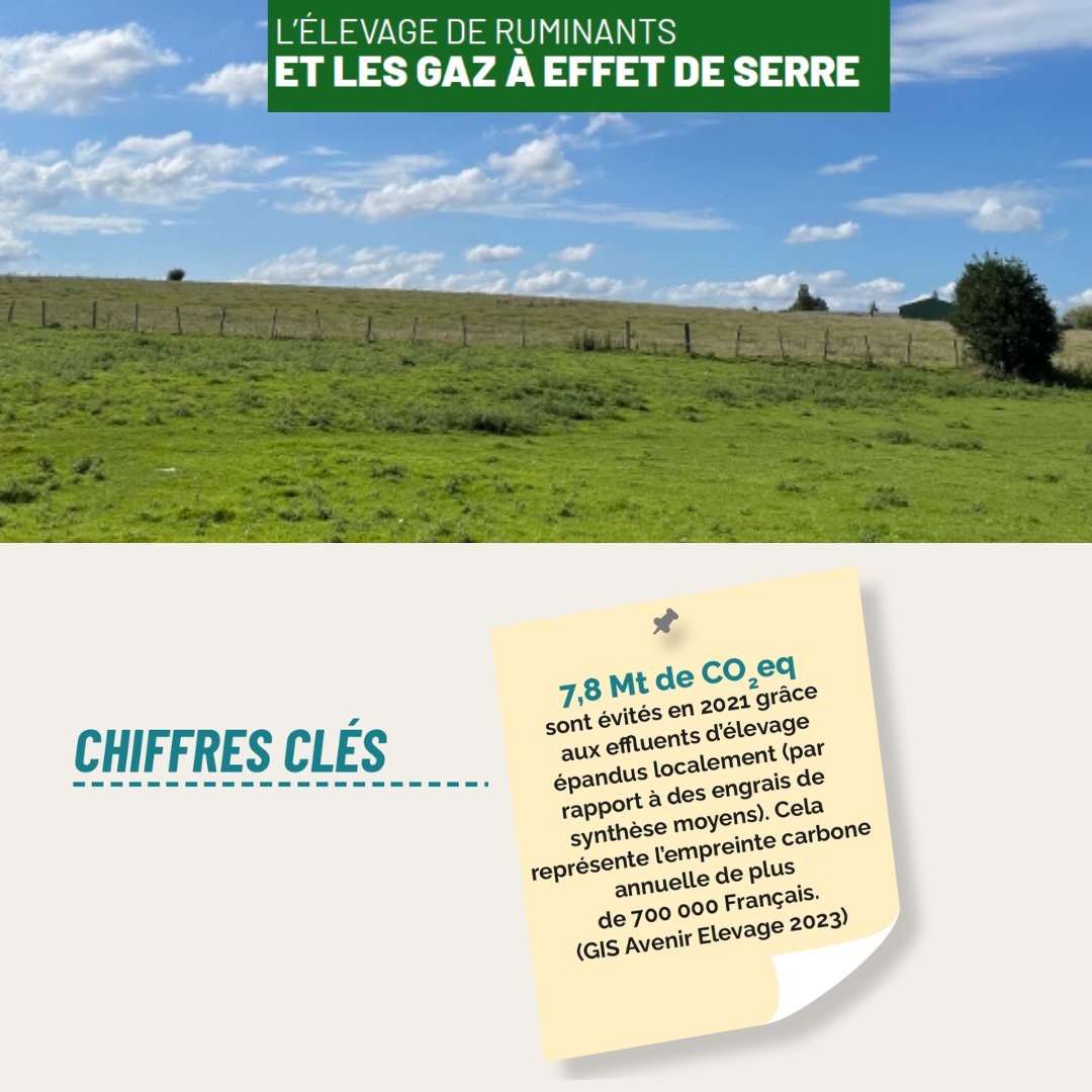 Institut de l'élevage - Idele tweet media
