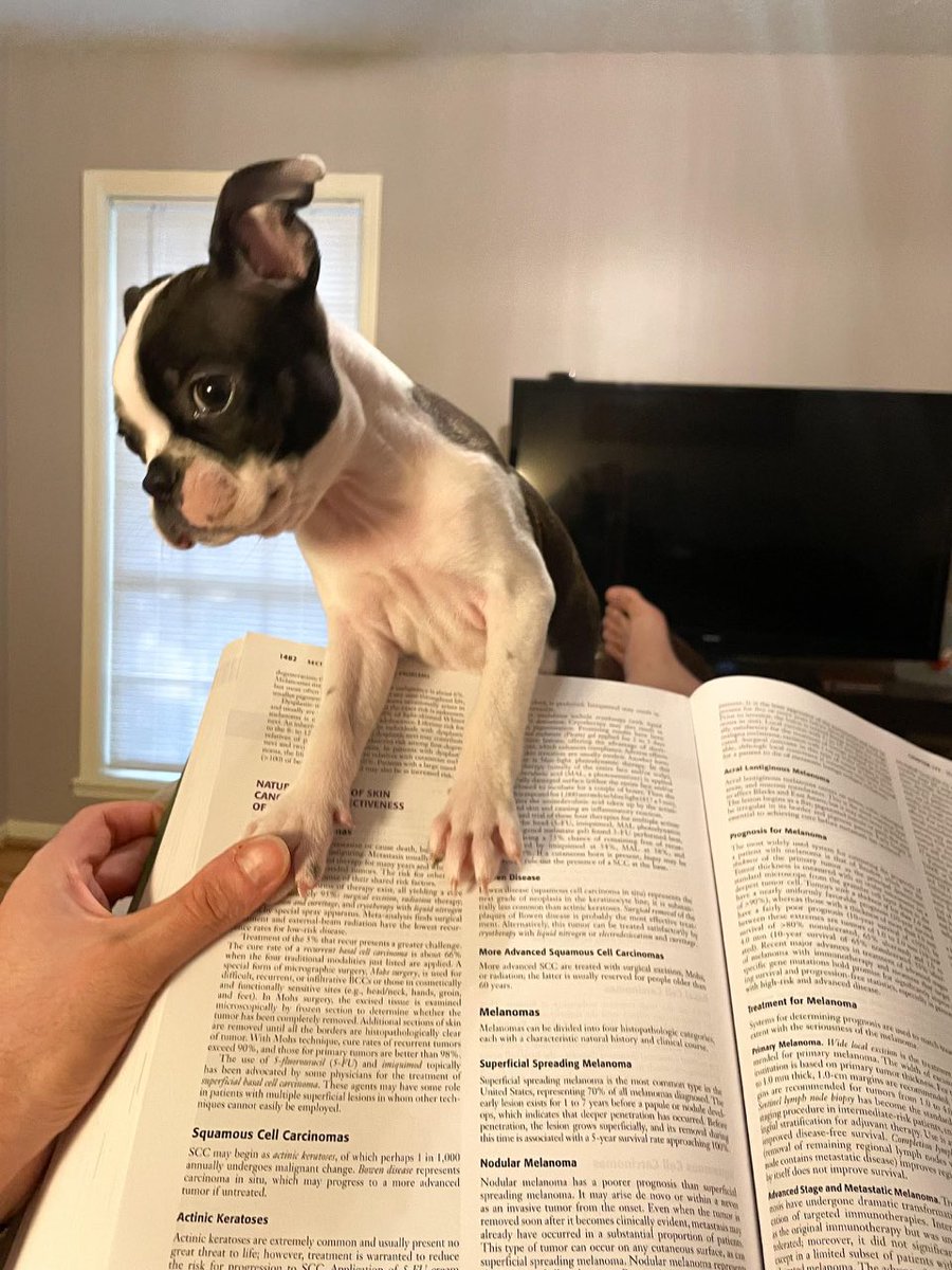Studying lifewave with this cutie! Have a great week everyone 🥰