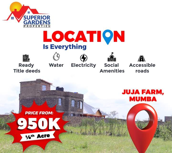 juliawanjirunj3's tweet photo. Book a free site visit today and let us help you turn your vision into reality!
CHECK OUT
JUJA FARM PLOTS
CALL : 0722429296
Israel Arteta Lakers #sigor
#ARSAVL #MainaAndKingangi #StressFreeBizNalm Aston villa
Middle East crystal Palace
xabi Alonso https://t.co/kLoIvoAGf1
