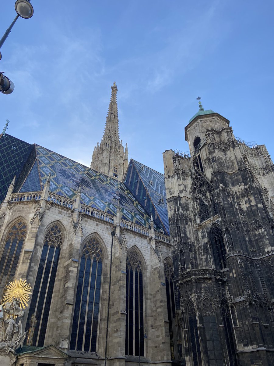 Beautiful Vienna❤️💐