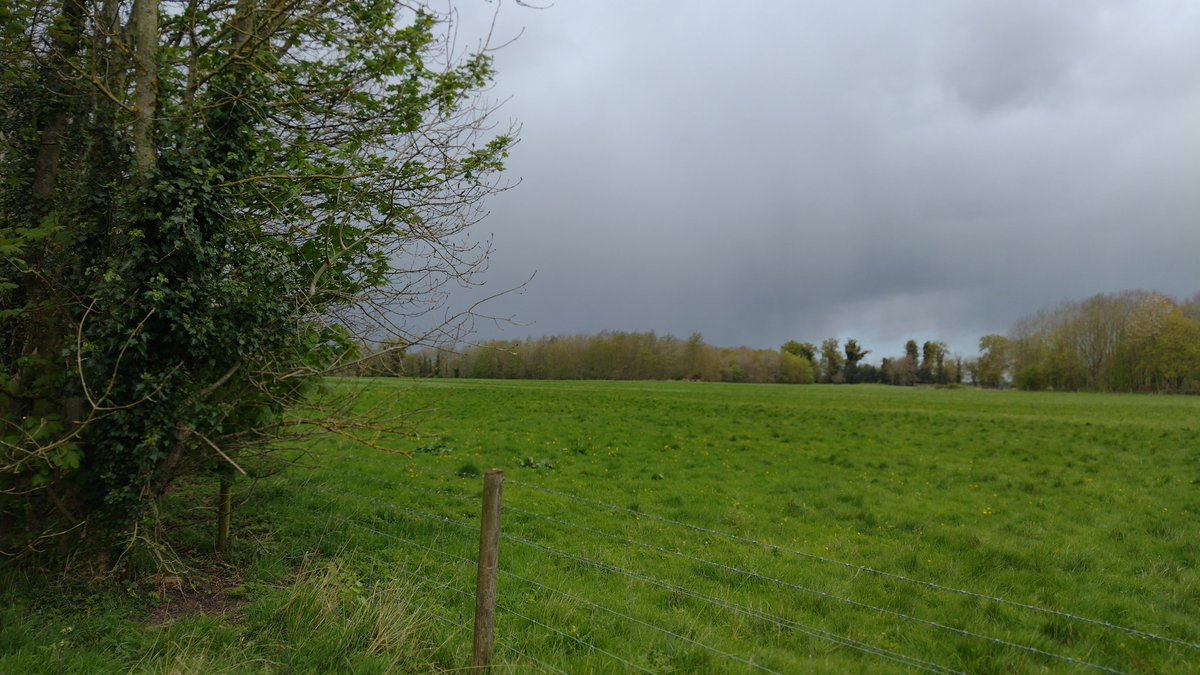 Sun came out so we went for a walk then saw these coming our way. We got caught in horizontal rain! Home now and sun back out!