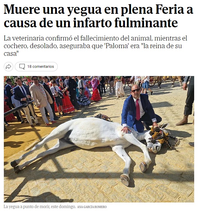 Alissonofabitch's tweet photo. Menos mal que están los sevillanos para disputarnos a los madrileños el cetro de la ciudad más odiosa y odiada por el resto de los españoles. https://t.co/9HdX2wWfRn