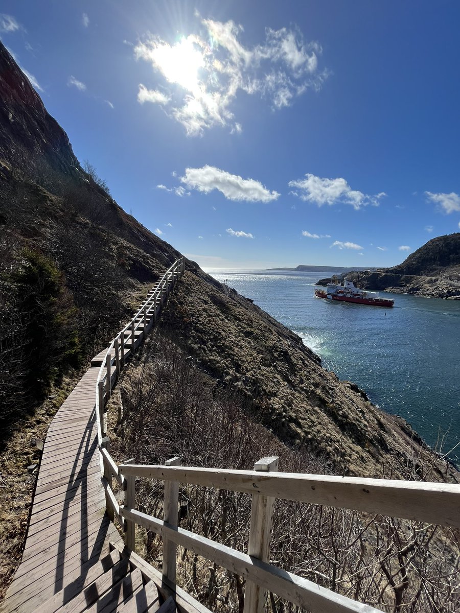 Happy Monday! What a beauty morning! I can’t think of a better way to start the week, then a trek around North Head Trail. Bonus was watching the #HenryLarsen sail out the St. John’s Narrows. #ExploreNL #DiscoverNL #AdventureNL #IgniteNL #GetOutside #DailyGrind #HappyHeart