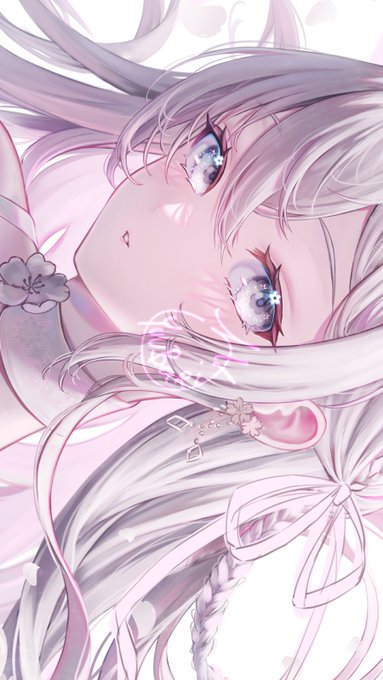 白桜のwip 