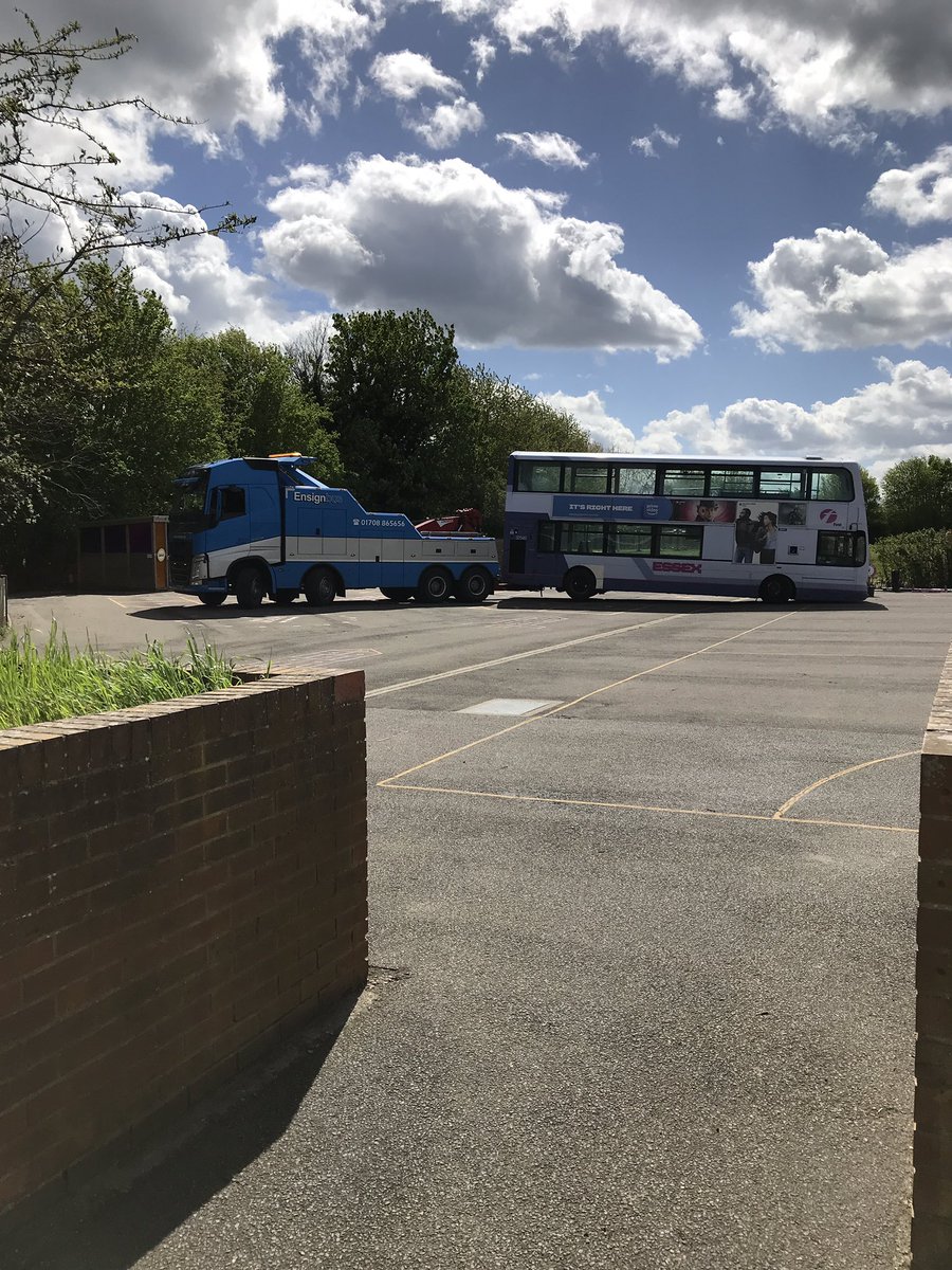 Halling Primary School tweet media