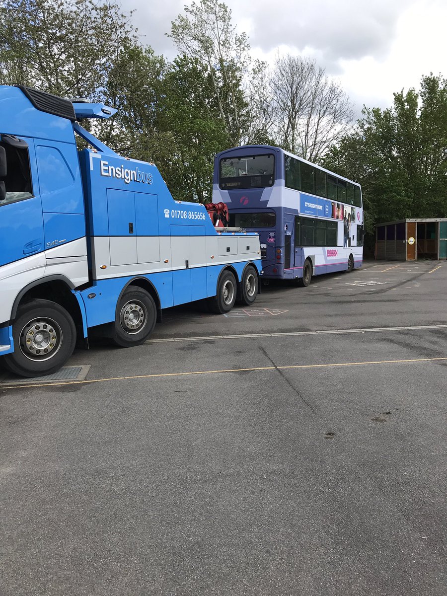 Halling Primary School tweet media