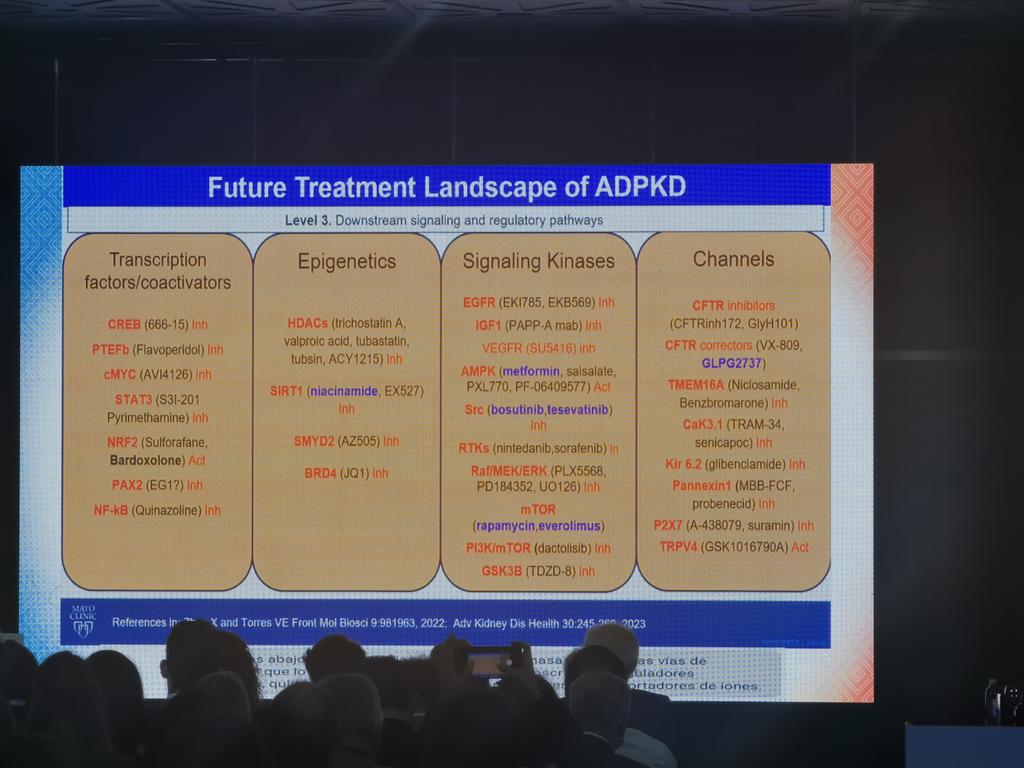 The Future Landscape for ADPKD Treatment by Vicente Torres List of therapeutic options targeting the downstream effects of the defective gene as shown. It's truly mind-blowing to know about the potential genetic therapy for ADPKD! #ISNWCN