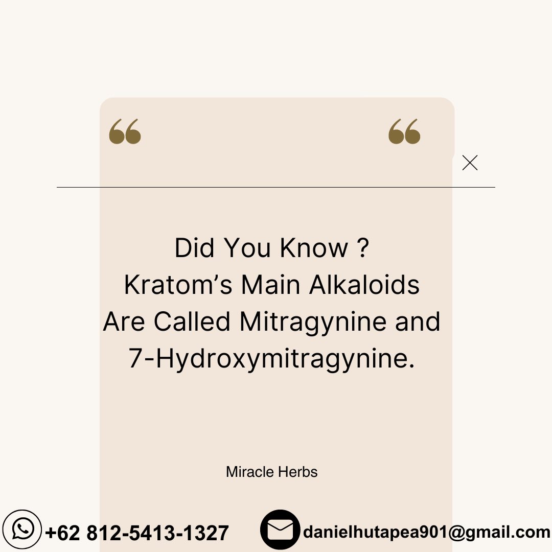 Kratom fact:
Kratom contains alkaloids that are responsible for its properties and effects. The main alkaloids are called Mitragynine and 7-Hydroxymitragynine.

#MiracleHerbs #Dakota #Delaware #Florida #Georgia #Hawaii #Idaho #Illinois #Indiana #Iowa #Kansas #Kentucky #Louisiana