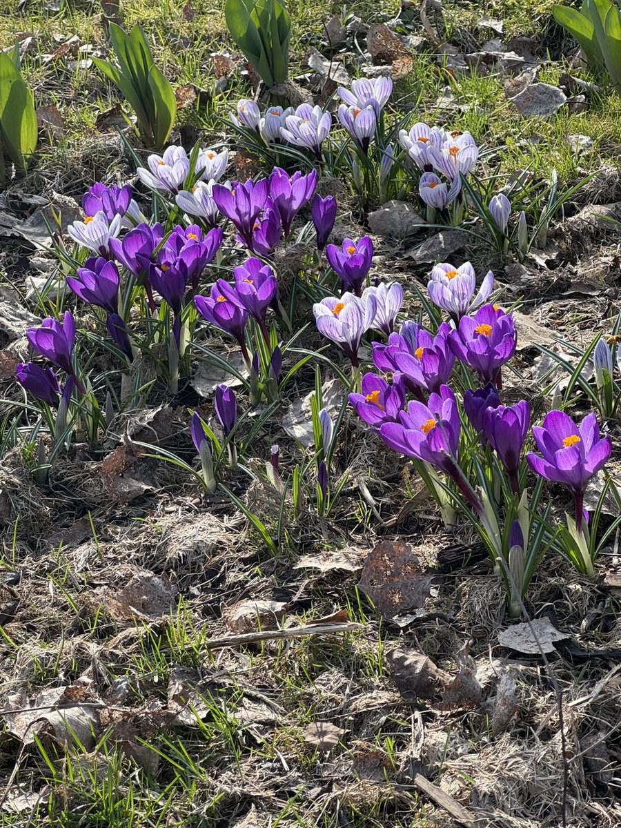 Kaisalle masennuslääkettä ja muillekin. Kevät tulee estelyistänne huolimatta.