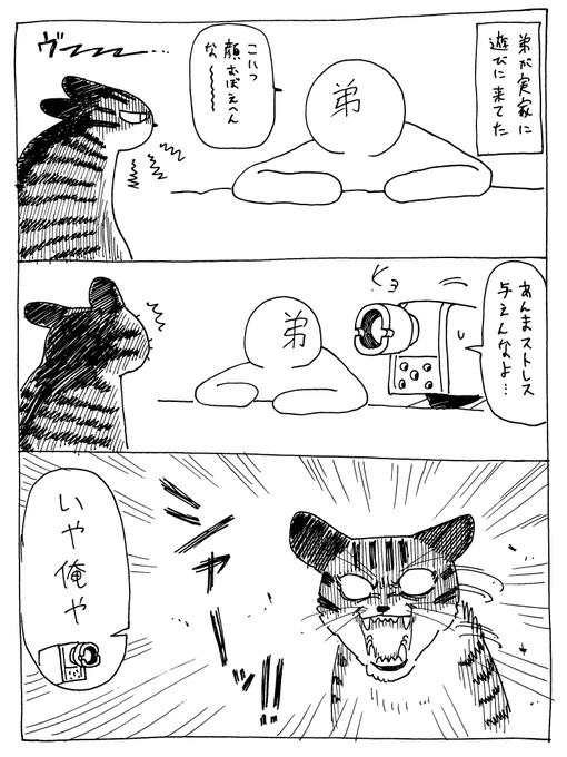 4/15
日記要素

ぜんぜん弟に懐かないデンちゃん 