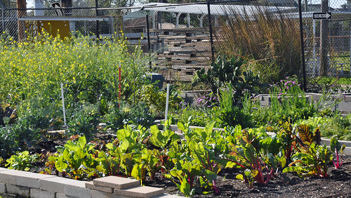 April is #NationalGardenMonth and #EarthDay is on April 20th. Learn more about how to celebrate at lacountylibrary.org/earth-day-and-… and usda.gov/media/blog/201…