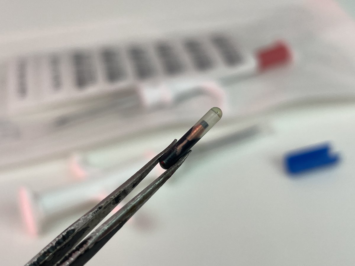 Aswinth_Balasub's tweet photo. This just got delivered! Can you guess what it is?
.
.
.

What you are seeing is an RFID chip that can be implanted in your hand. 
We are soon covering an article about it on  @circuitdigest

#RFID #RFIDchip #RFIDimplant #biohacking #chipimplant #electronics #learningelectronics https://t.co/NaP3AJyfs4