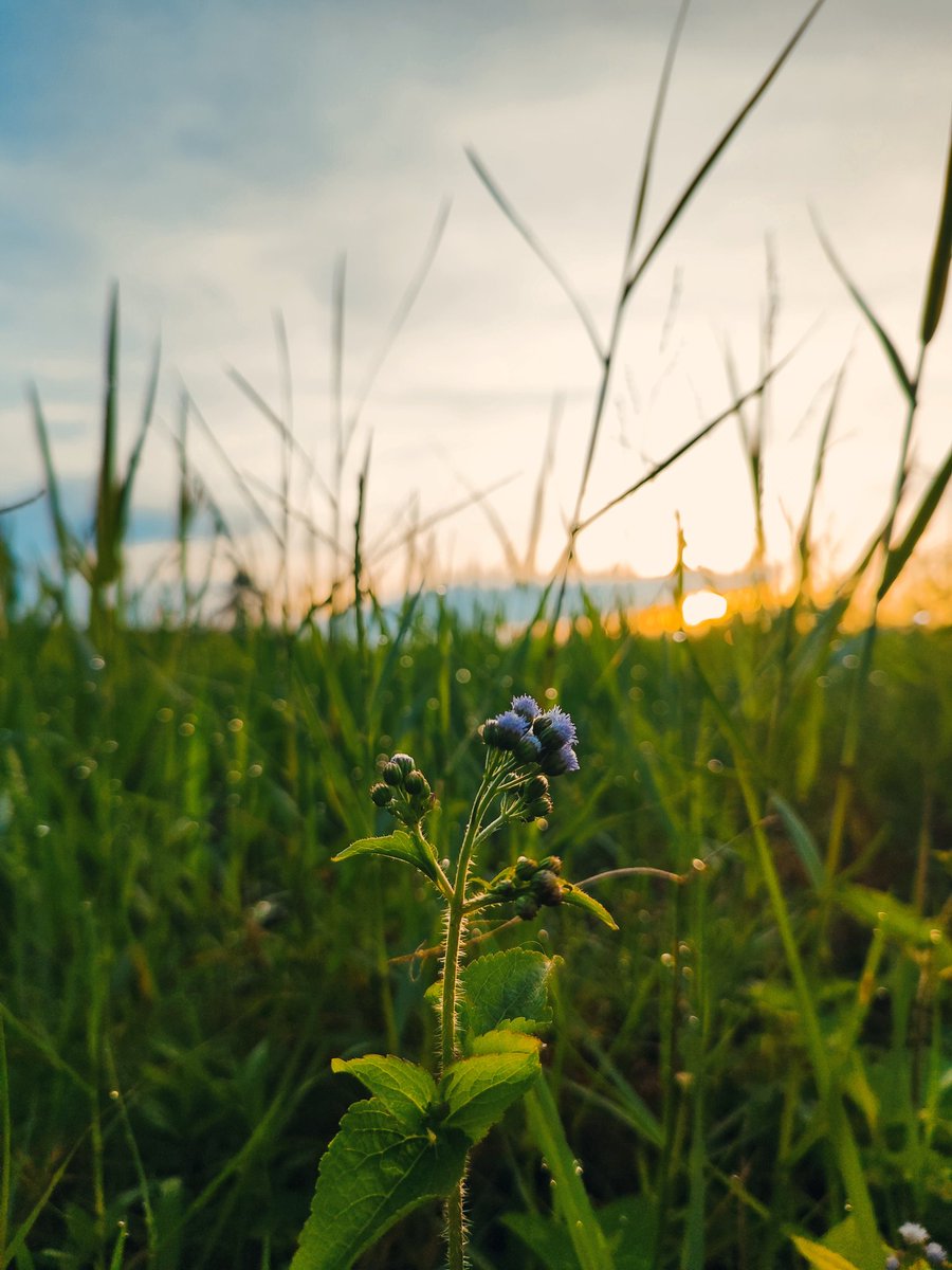 younghooneys's tweet image. Pakelah hape pintarmu bjar lebih sering motret.

#shotonpoco #POCOX5Pro5G