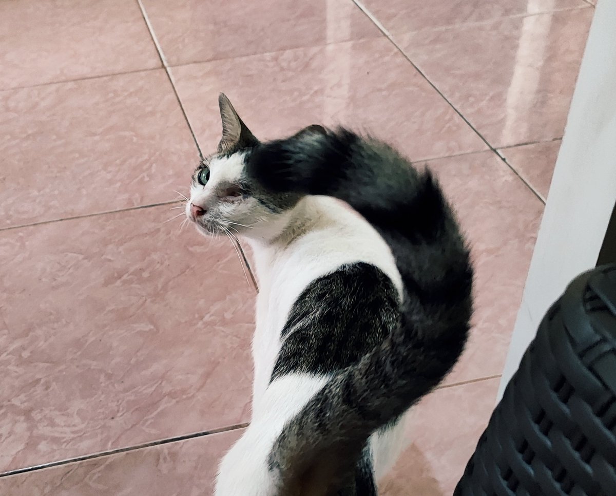 younghooneys's tweet image. Pakelah hape pintarmu bjar lebih sering motret.

#shotonpoco #POCOX5Pro5G