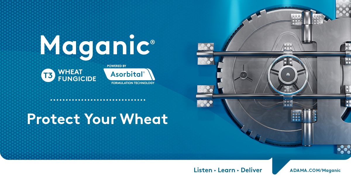 Combat cereal harvest losses from ear diseases and mycotoxins with Maganic® - our new multi-crop T3 fungicide for Europe.  Delivering reliable efficacy for farmers in the vulnerable T3 period, Maganic® protects wheat, barley, oilseed rape & sugar beet. ➡️bit.ly/443HyMv