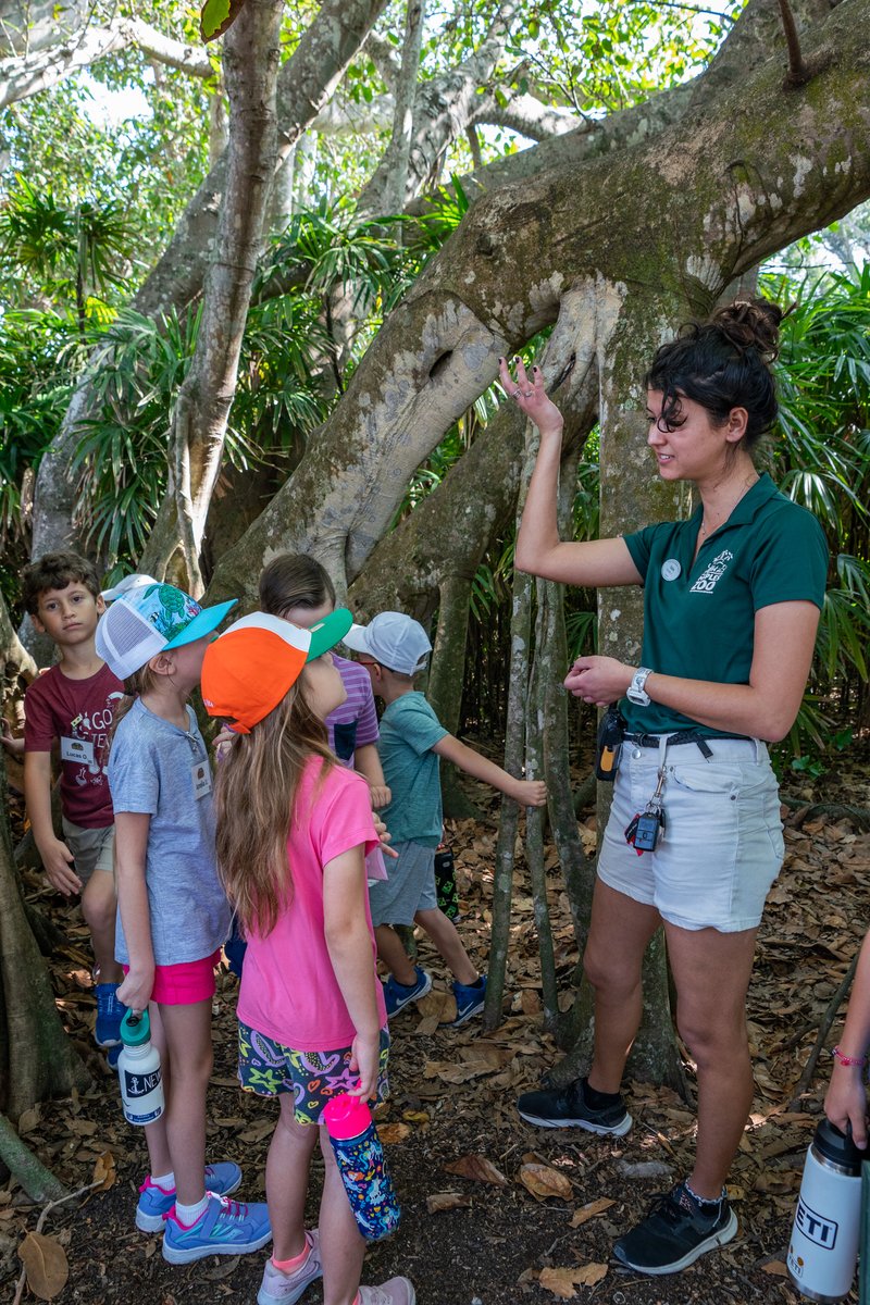 Summer Camp Wild is now OPEN for registration! Don't move at a tortoise's pace—secure your child's spot before they're all gone! 🐢☀️ 🦒Learn More: napleszoo.org/summercampwild