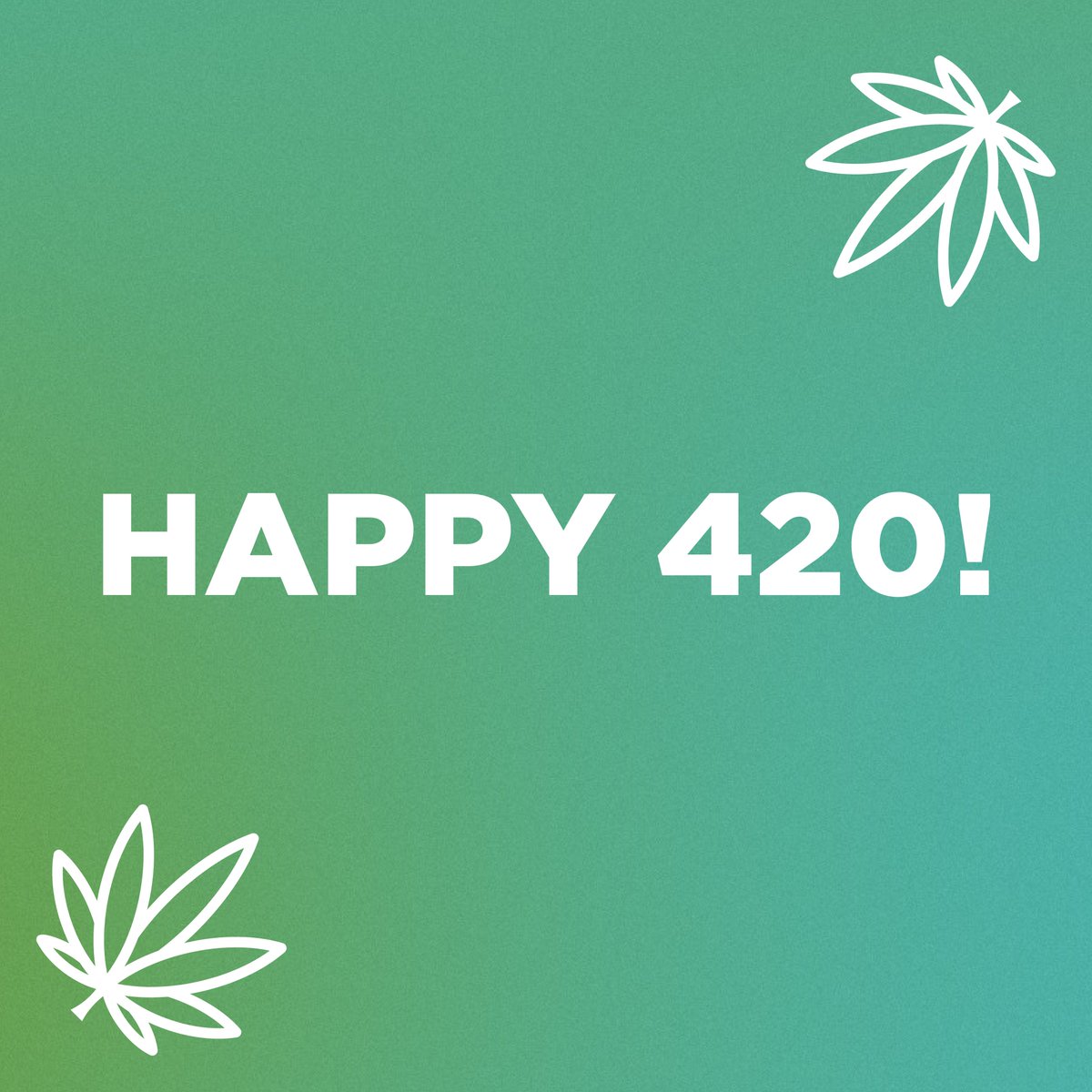 It's far past time we legalize #cannabis in Wisconsin. 🌱69% of Wisconsinites, including a majority of Republicans, support the full legalization of cannabis! #420 #LegalizeIt