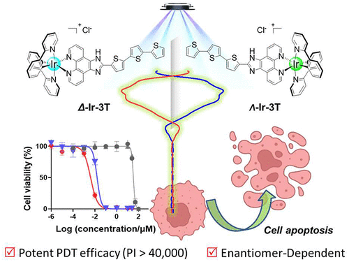 Chiral Iridium-Based TLD-1433 Analogues: Exploration of Enantiomer-Dependent Behavior in Photodynamic Cancer Therapy | Inorganic Chemistry pubs.acs.org/doi/10.1021/ac… Shi, Chen, Li, and co-workers @InorgChem #iridium #TLD1433 #PDT #enantiomers