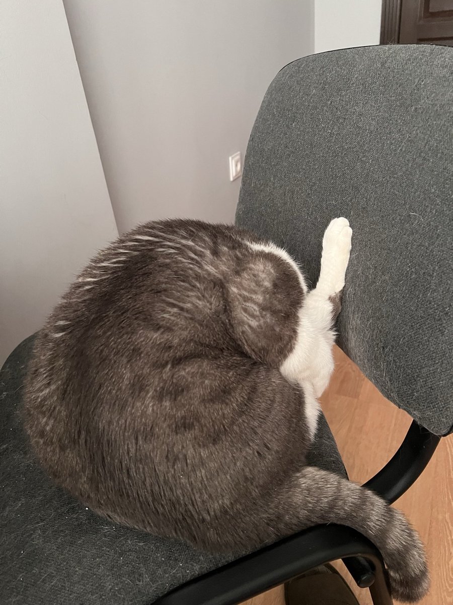 Adı: Vasya
Yaş: 8
IQ: Yemek için herşeyi yapar, yaptırır. Yemek istediğini belirmek için her türlü taktiği dener.
Mental: Diyetten bıkkın
Fiziksel: Artık kendi götünü temizleyebiliyor.