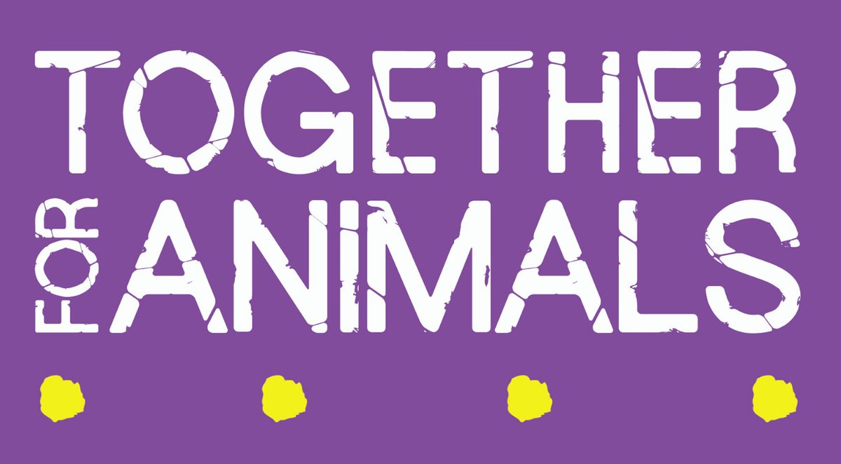 We're raising money for @TogetherAnimals are currently at £116, and only a few hours into Day 2. If you want to donate, go to - justgiving.com/page/5daygamer… If you want to watch the stream, click here - twitch.tv/5daygamers #5dg19 #5daygamers19 #charity #animals