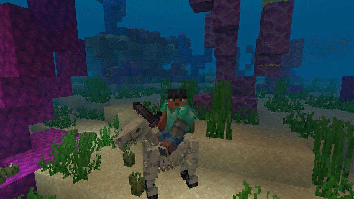 Did you know... you can ride a skeleton horse underwater? Tell us a fun fact that people might not know about!