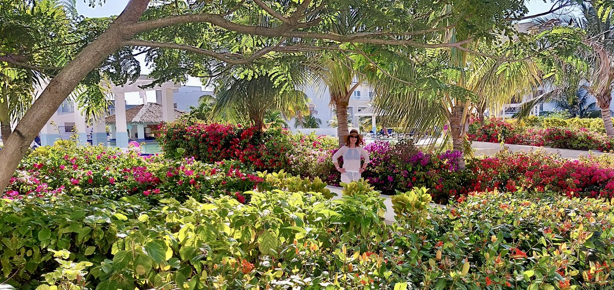 Considering Cuba? Many have asked where I stayed and what things were like... That's the topic of today's blog: cindyday.ca #Cuba #travelersnotebook