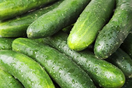 Fall in love with eating fresh cucumber.
Fall in love with eating fresh cucumber.
Fall in love with eating fresh cucumber.
Fall in love with eating fresh cucumber.
Fall in love with eating fresh cucumber.

Fresh cucumbers have special antioxidants known as tannins which prevent a